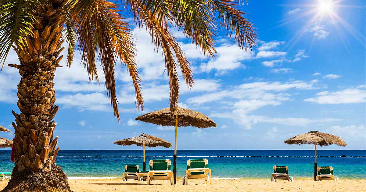 Your Lie In April Vf Your Apartment in Tenerife